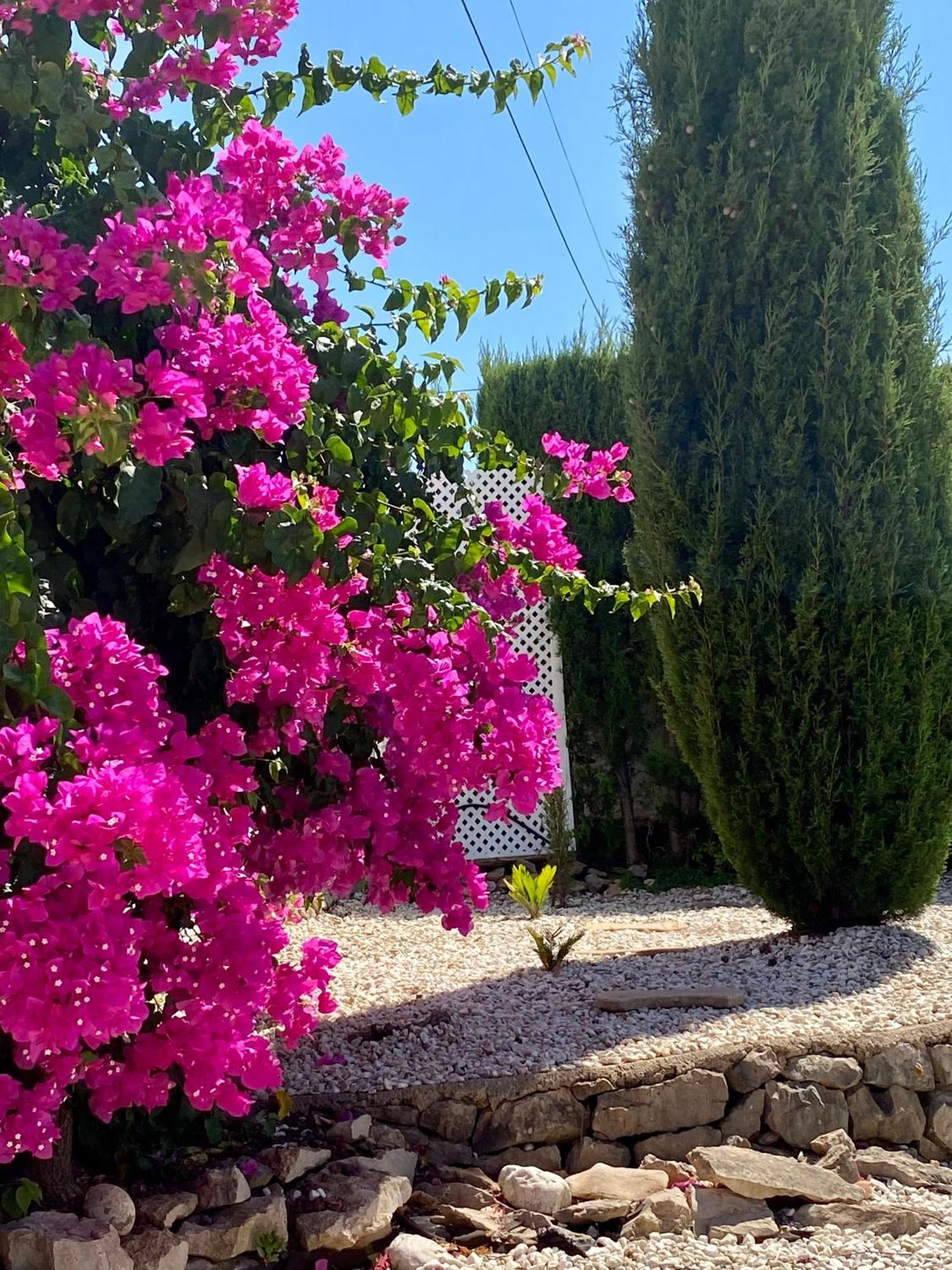 Olivae Xalet Villa Benidoleig Екстериор снимка